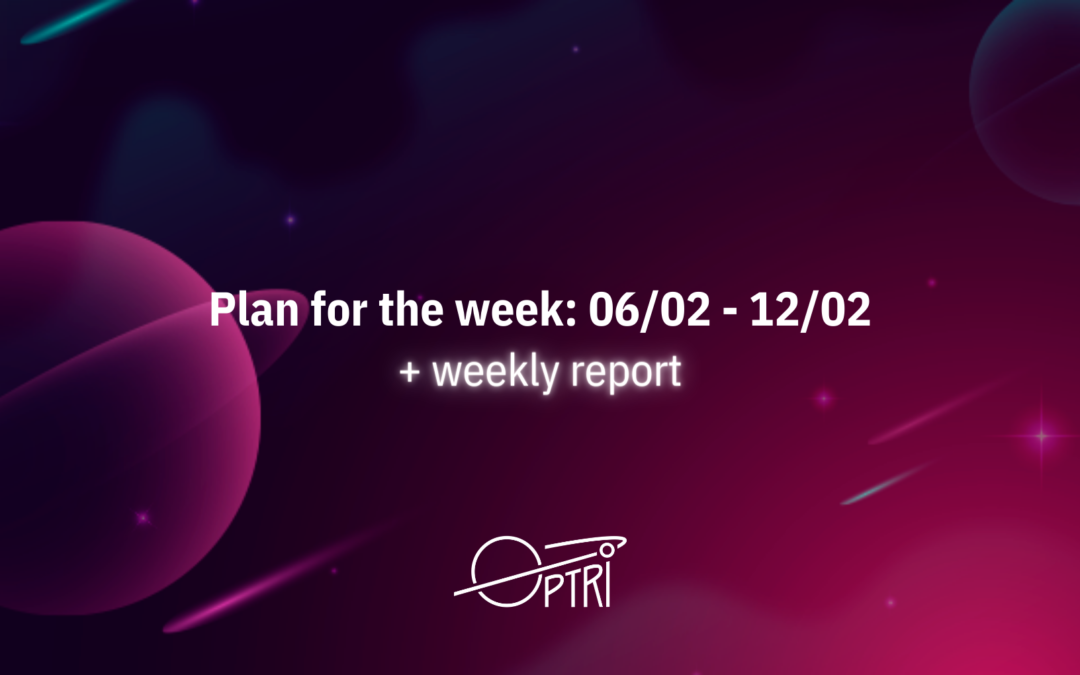 Plan for the Week (06/02-12/02) & Weekly Report